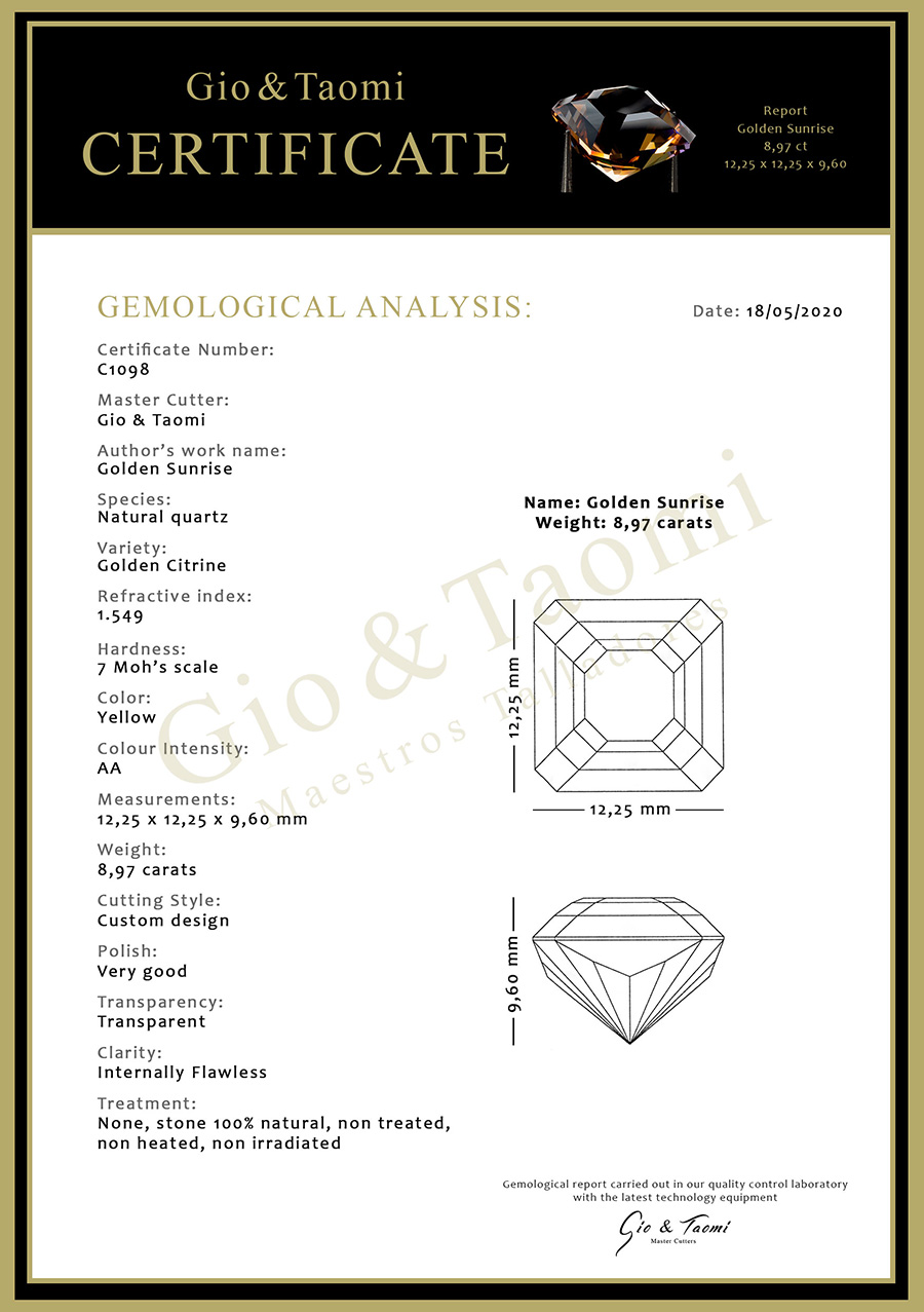 Gio Taomi - Concepto Excelencia